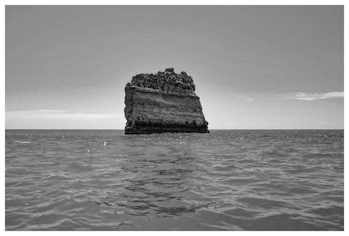 Wod Anaka tweet media