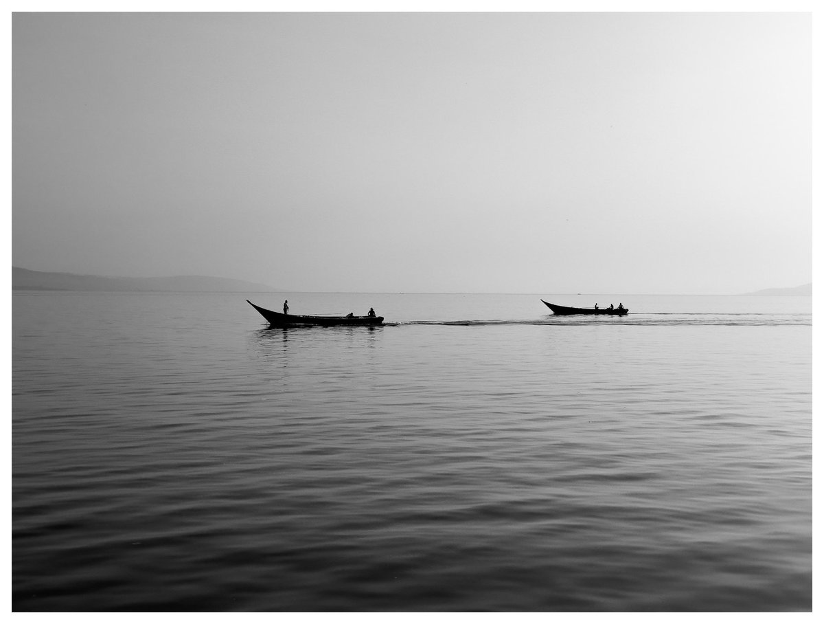 Wod Anaka tweet media