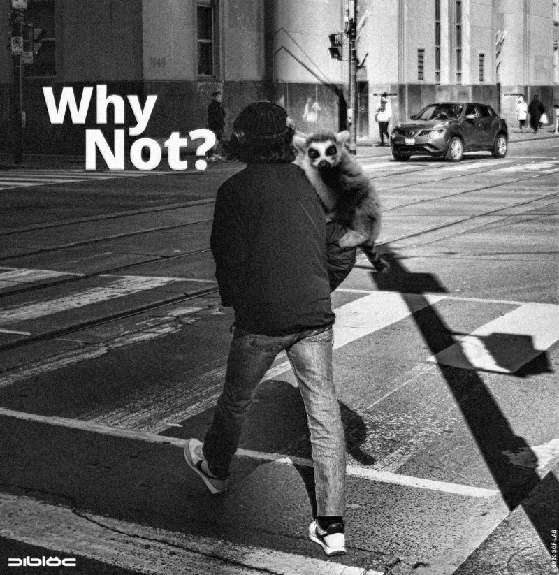 DiblocSocial's tweet image. Thanks for following!

@nicolasartpro
@allison__jae
@angelaalacchi
@nature__vibe
@Nature_Glory1
@GlobalGlam61966
@001Halder6313
@CityTrials
@Business660608
@Sagnik70964
  
Dibloc #WhyNot #OpenSocial #socialmedia