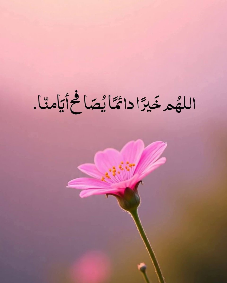 حُقول مِن الحُب ..
إملأ قلبك وروحك بالمحبة لا سواه فهدا الذي سيمطر ويزهر ويثمر في حياتك..
اجعل مِحورَ روحِكَ المَحبَّة، فهيَ العَقيدةُ التي لا تَعرفُ القُيود، والنُّورُ الذي يَهوي إليهِ كُلُّ جَميل ، فمَن كَان مَنهجة الله ، تَفتَحت لةُ الأبواب ،ومَن اتَّخَذَ الحُبَّ مَنهجاً، صارَ