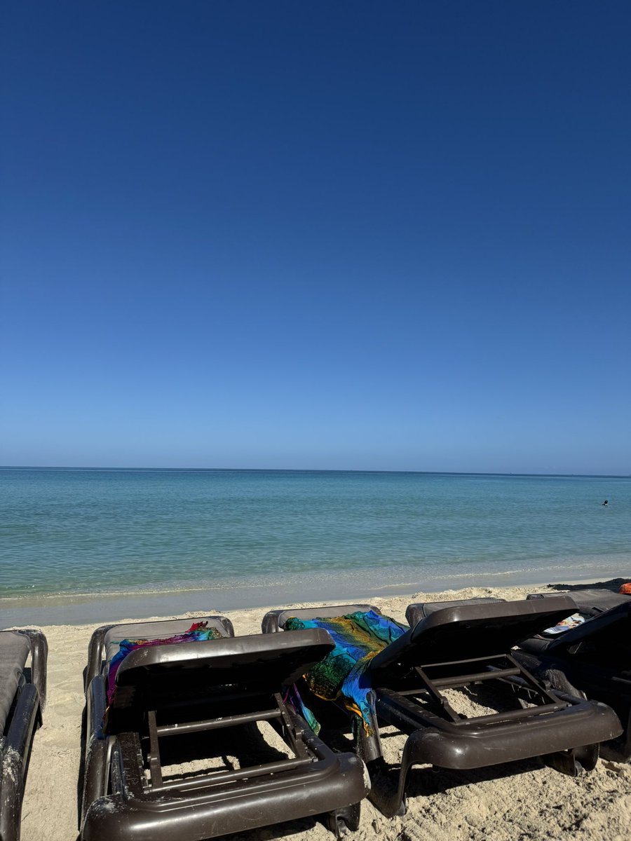 Marni Cramer 🇨🇦 tweet media