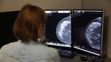 Robert du Balto tweet media