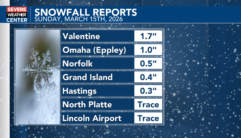 Brandon Rector tweet media