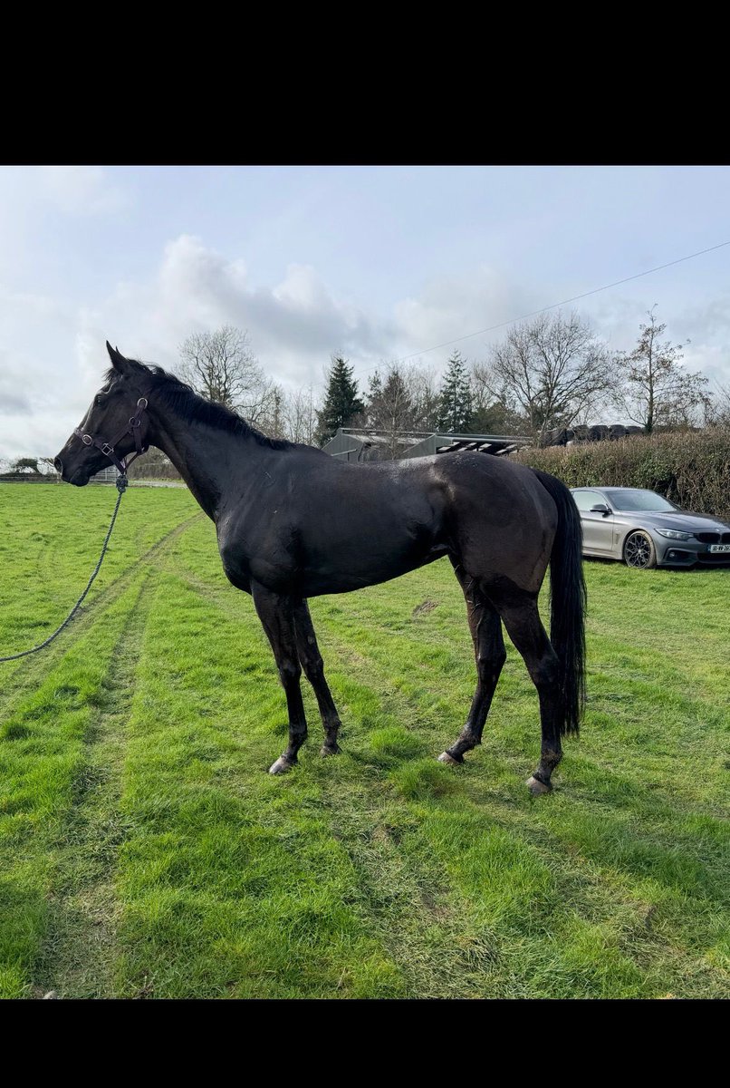 Money for Jam Syndicate tweet media