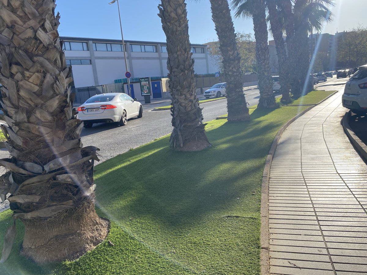 Friedrich tweet media