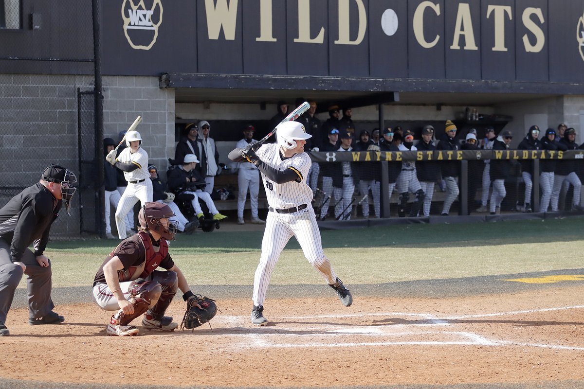 Wayne State Wildcats tweet media