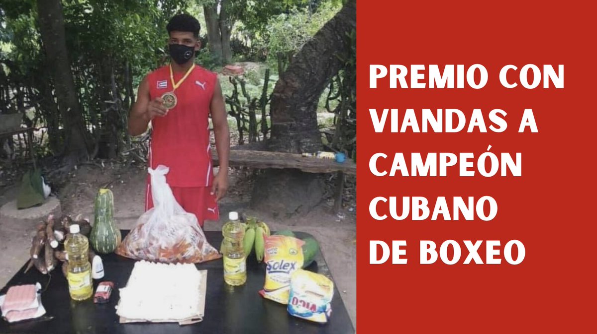 manuel miguel chaves tweet media