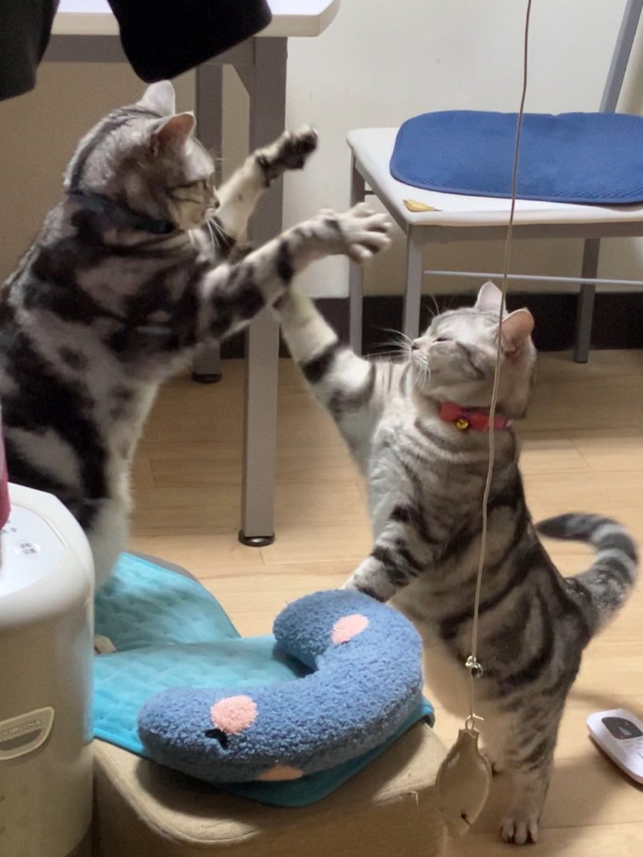 Å₭ЁМⅰ⋆¨̮ tweet media