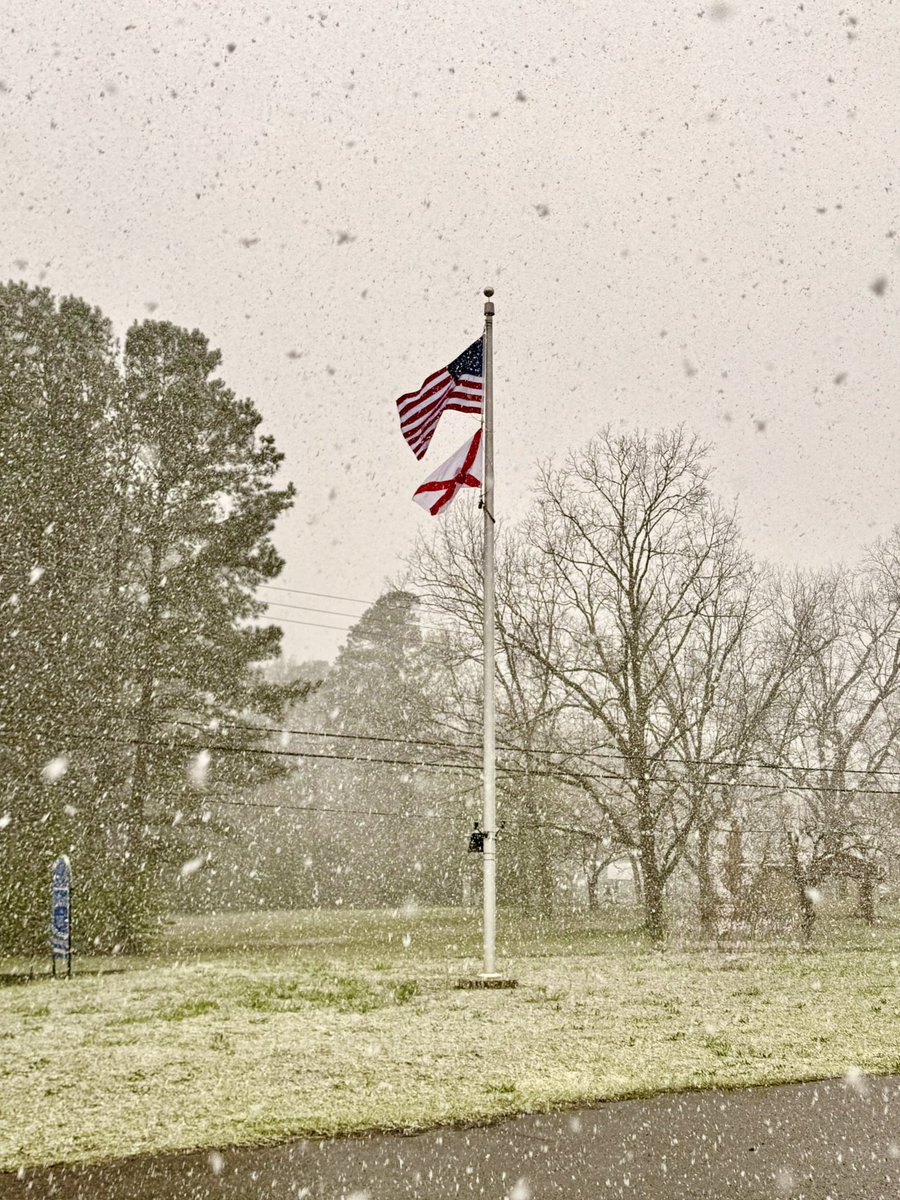 Scott 🇺🇸 tweet media