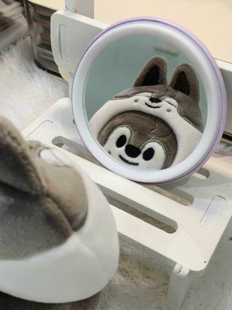 ʜᴀɴᴅ ᴍɪʀʀᴏʀ ｡𖦹°‧