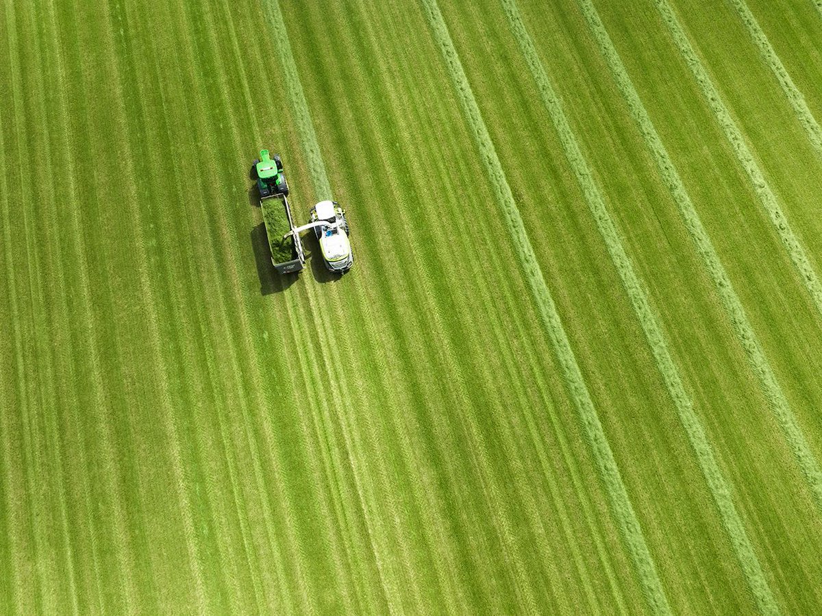 DLF Canada tweet media