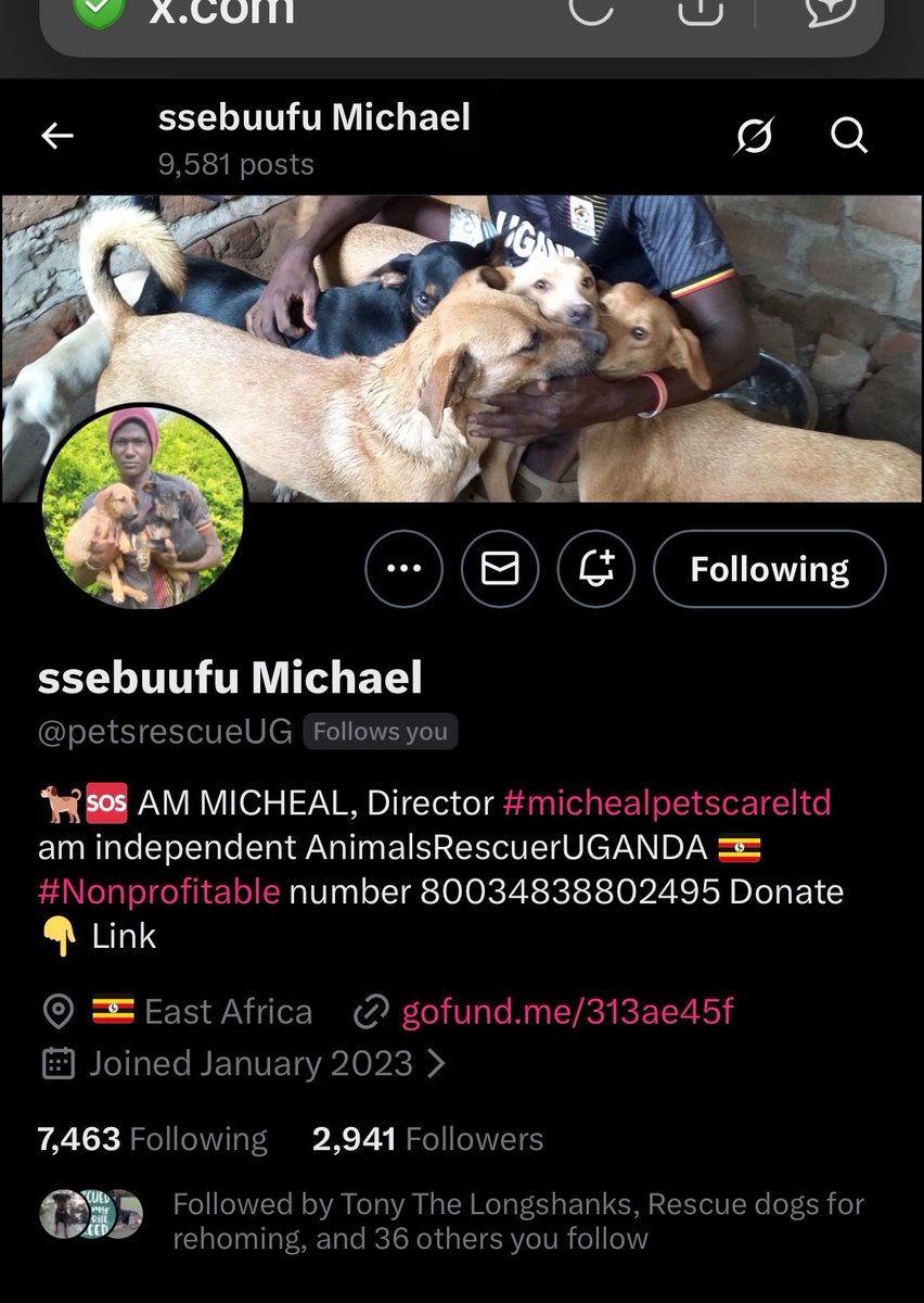 Fionaismybitch tweet media