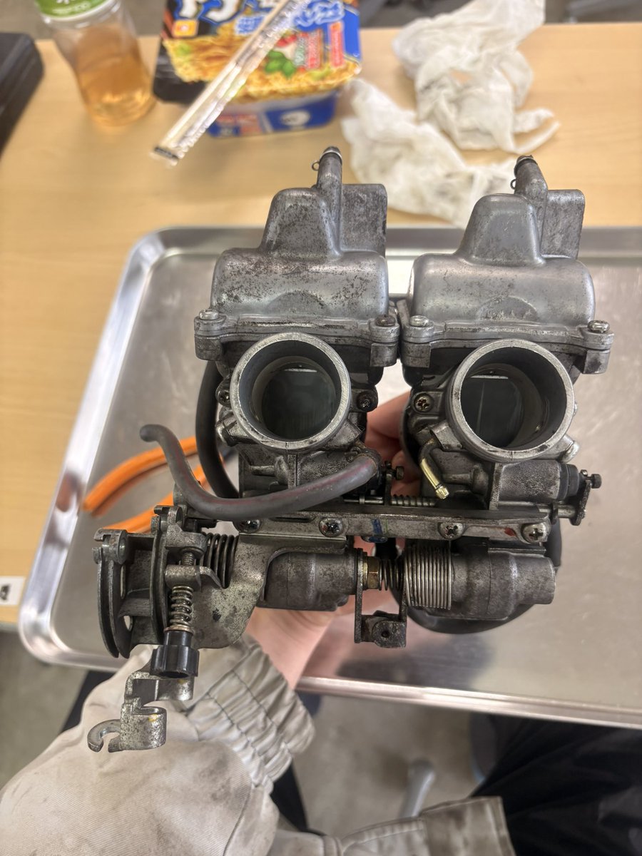 わたぬき tweet media