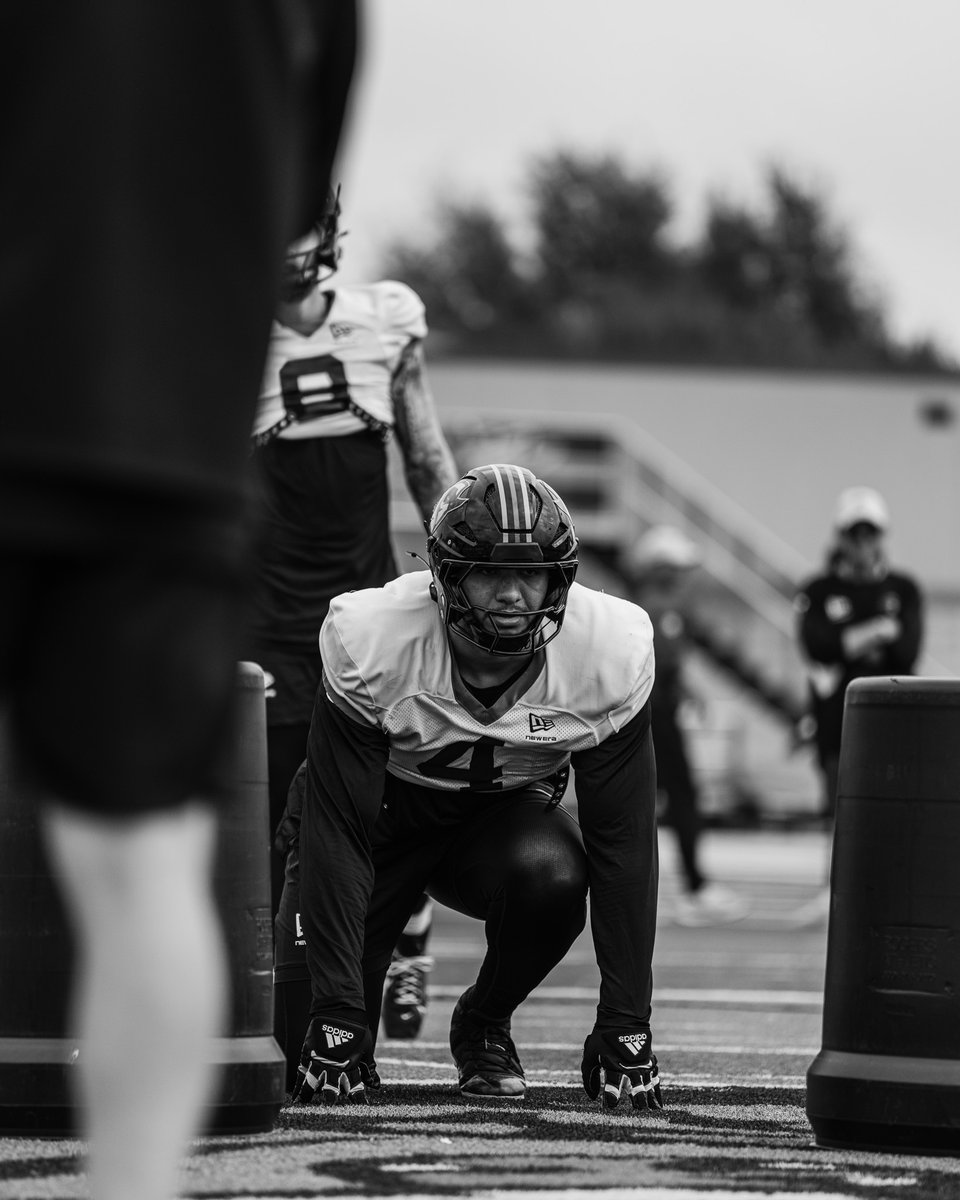 Dallas Renegades tweet media