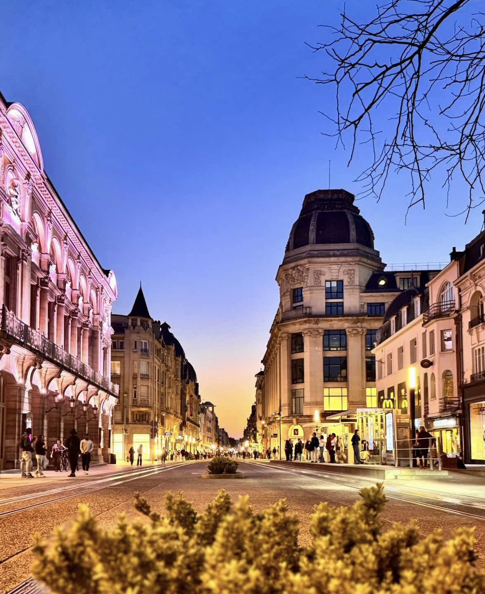 NEWS'MAG tweet media