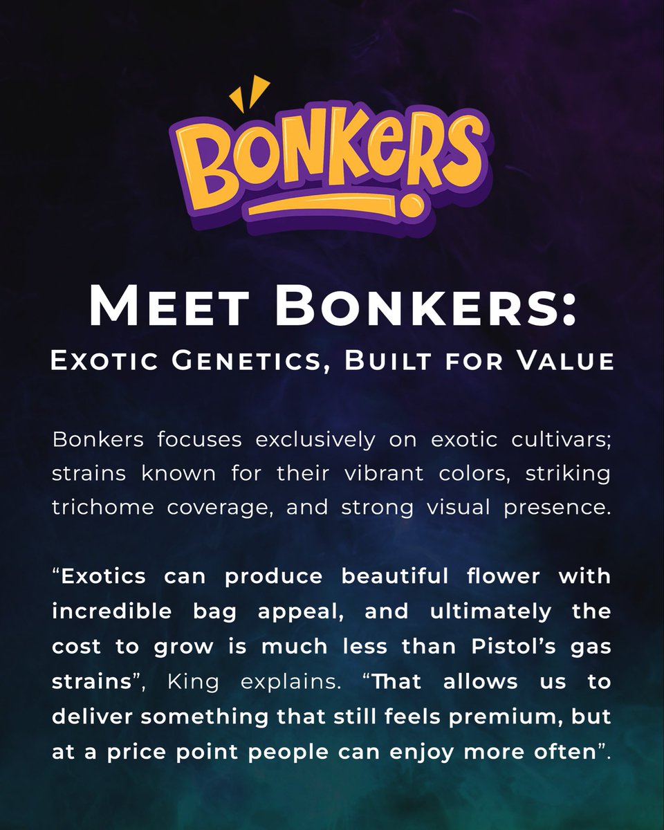 Attention BC,
Today we are launching our new brand Bonkers - Powered by Pistol and Paris.
Read more on our blog:

pistolandparis.com/meet-bonkers/