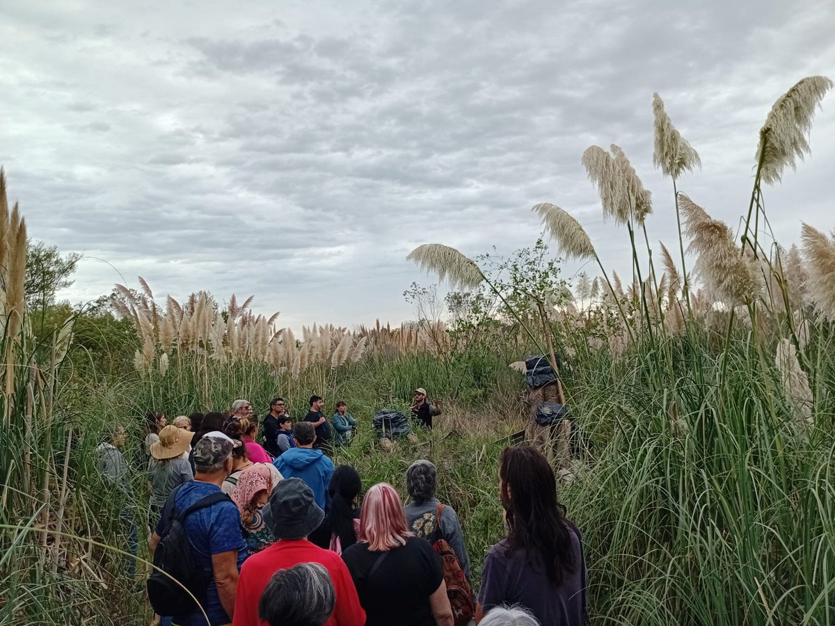 Mercedes Ciudad tweet media