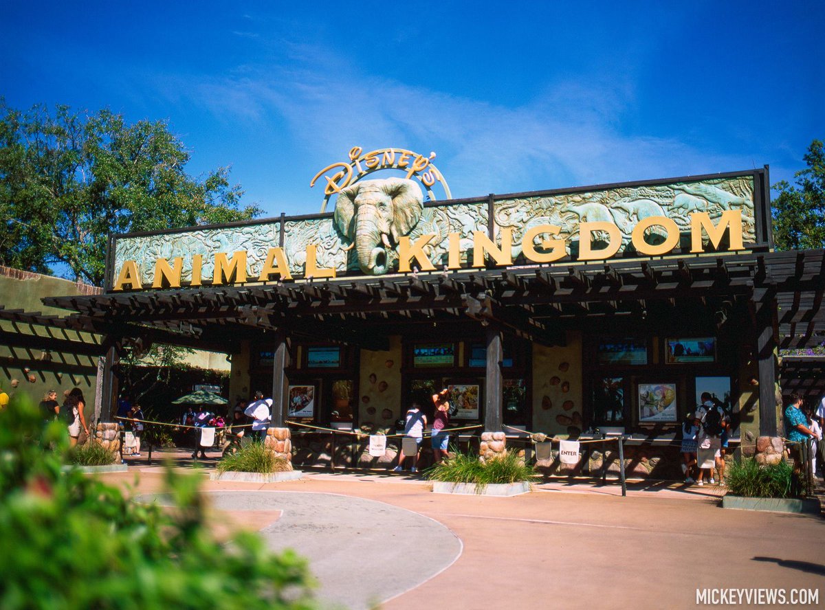 Mickey Views tweet media