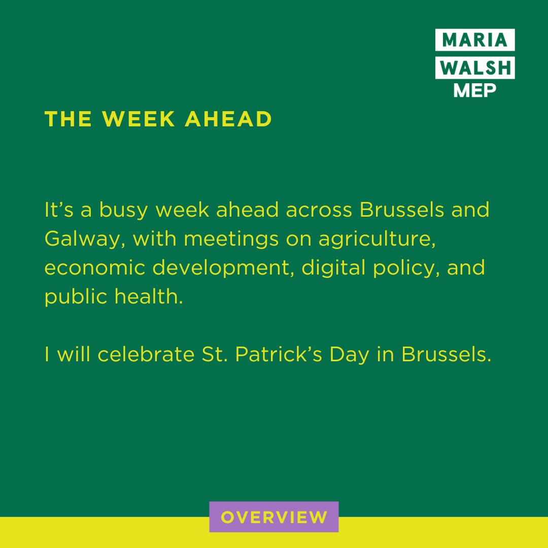 Maria Walsh MEP tweet media