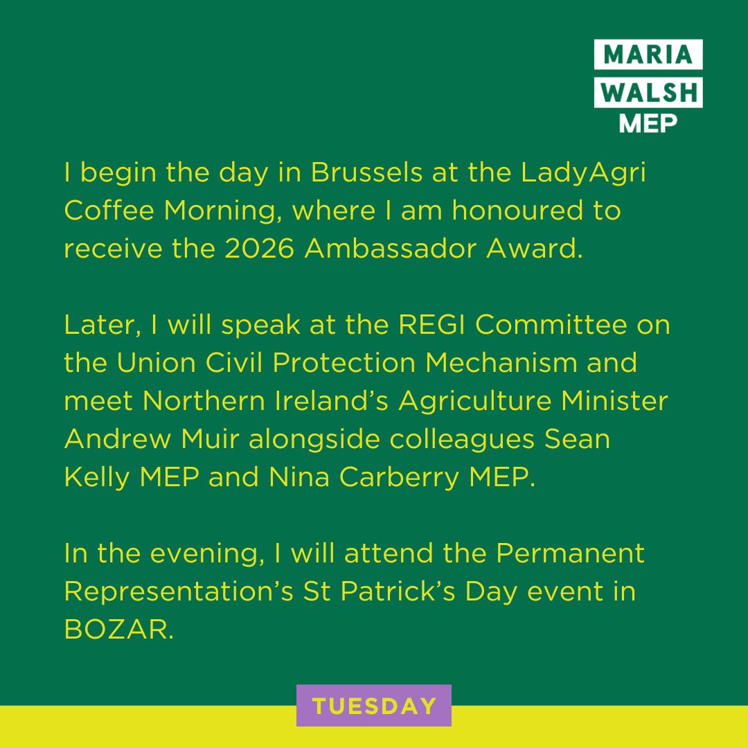 Maria Walsh MEP tweet media