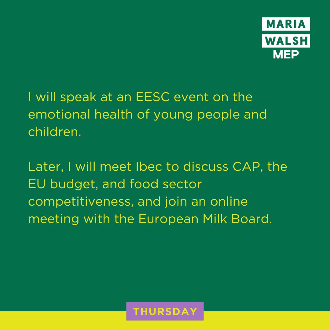 Maria Walsh MEP tweet media