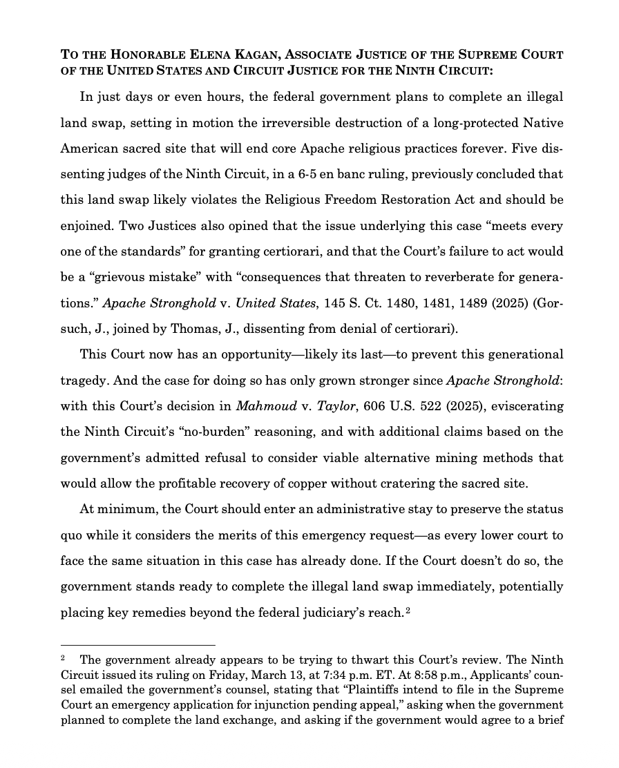 Kelsey Reichmann tweet media