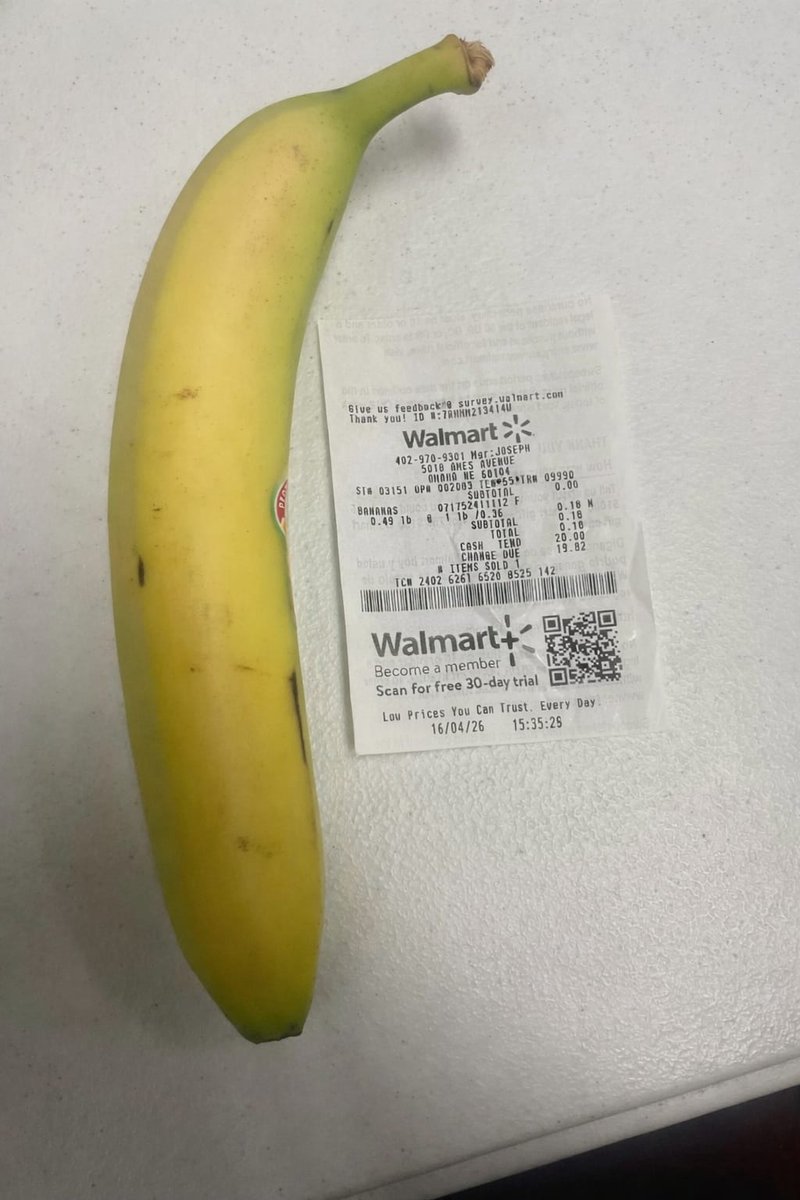 Caprio🁻 tweet media