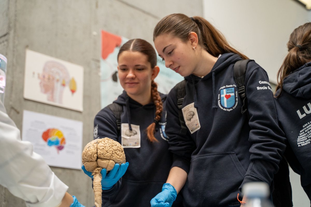 Instituto de Neurociencias UMH-CSIC tweet media