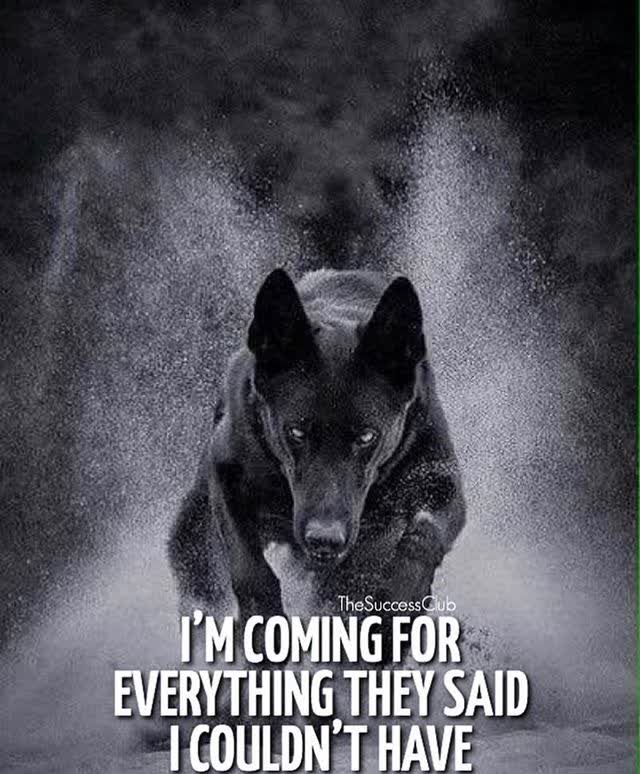 Tony George tweet media