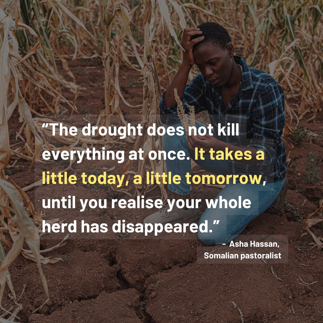 Power Shift Africa tweet media