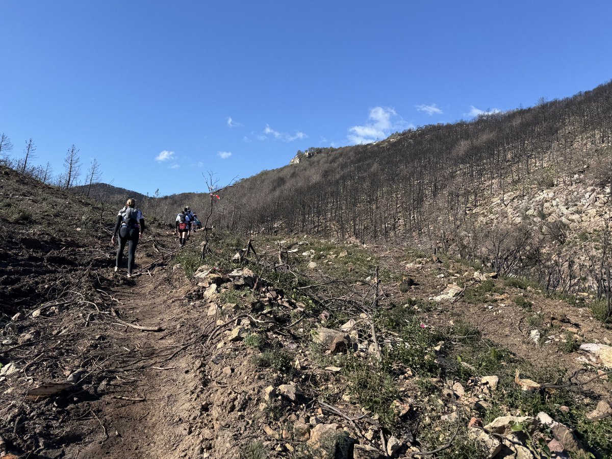 Maud_RX's tweet photo. Trail de fontfroide I dit it ! 38km 1600 d+ 🤝 https://t.co/sA84Or5IVK