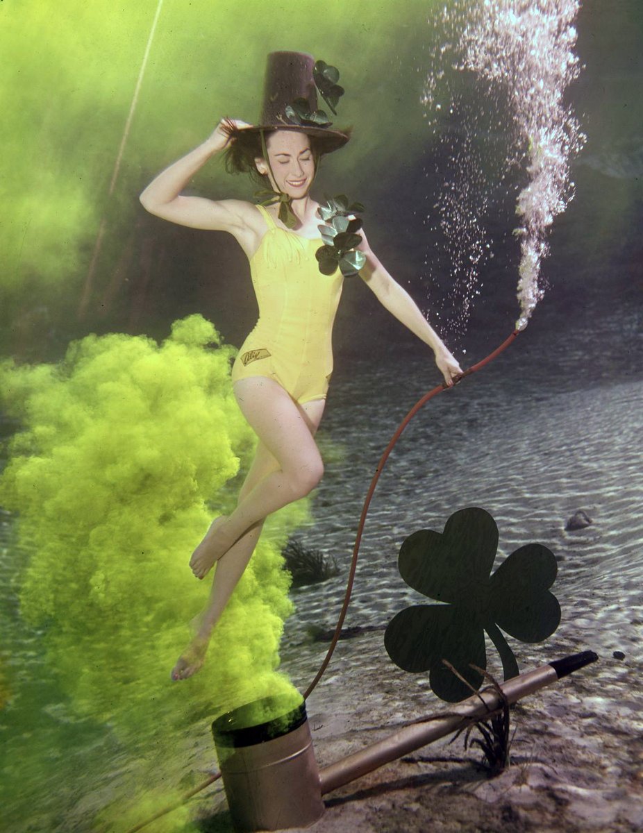 State Library of FL tweet media