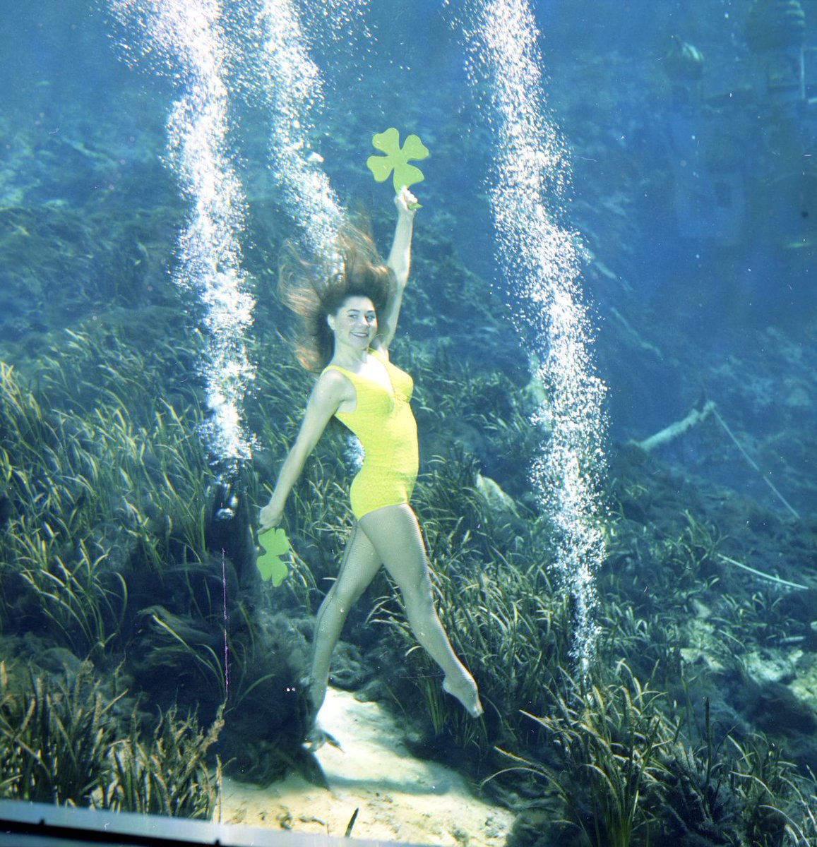 State Library of FL tweet media