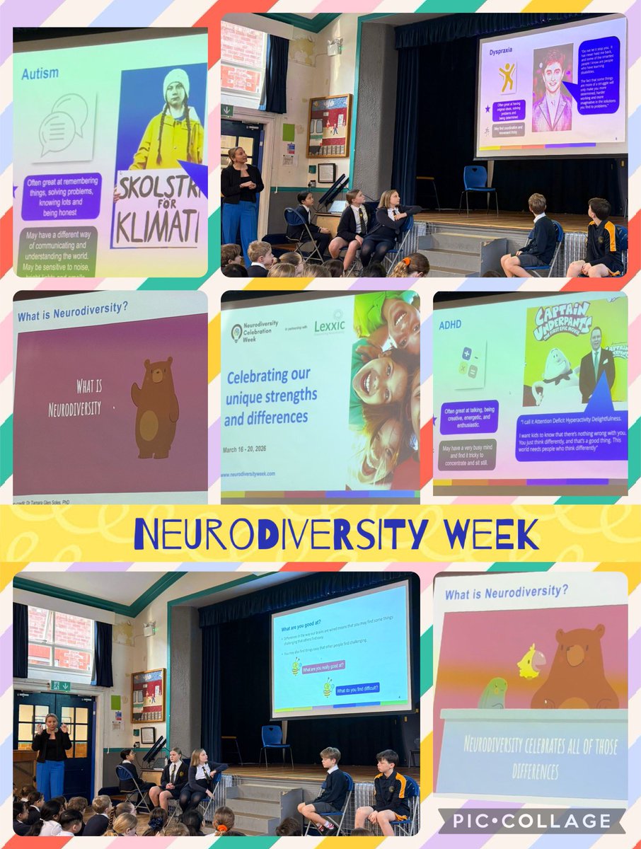 SpringfieldPrimary tweet media