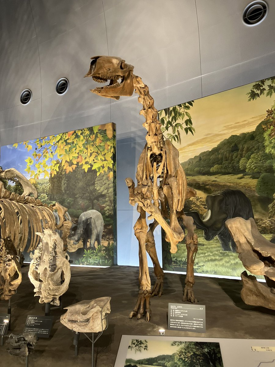 どぶりあ tweet media