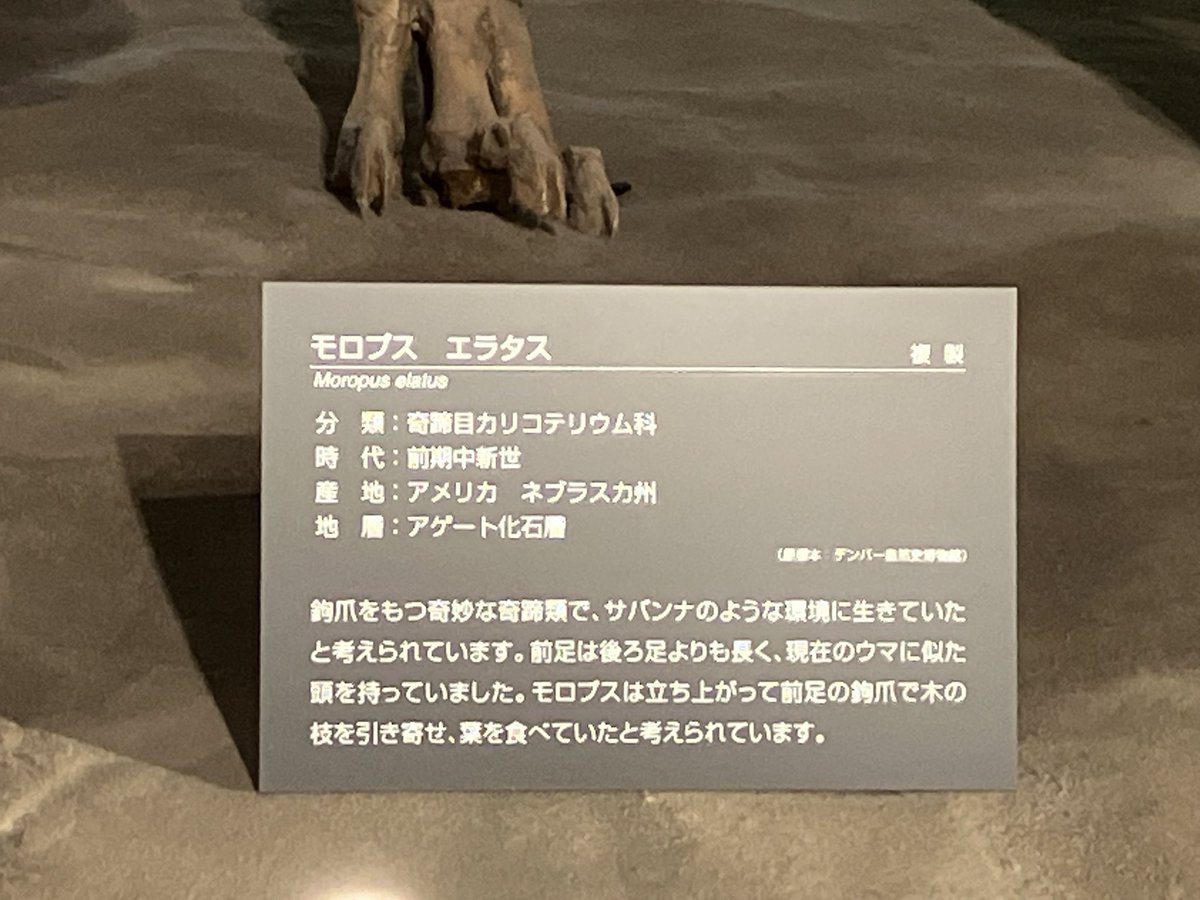 どぶりあ tweet media