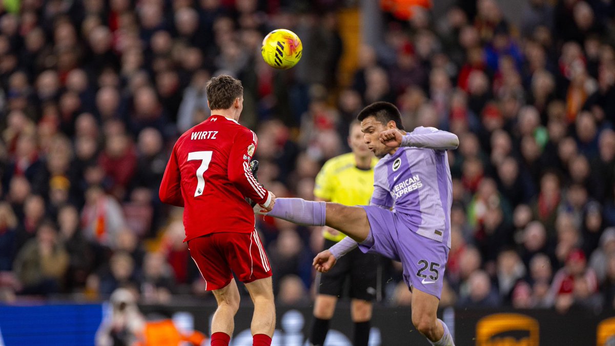 Virgil🐧 tweet media