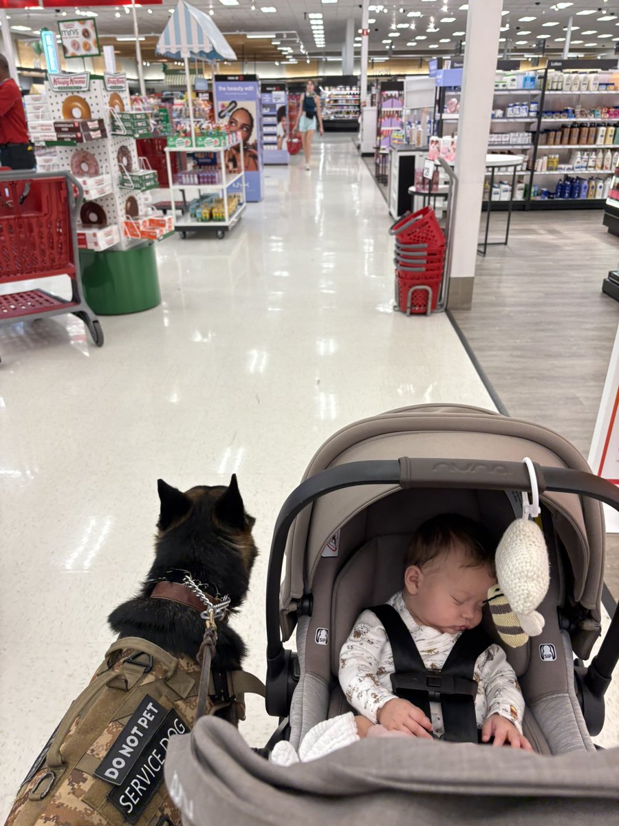 Sofia Carbone tweet media