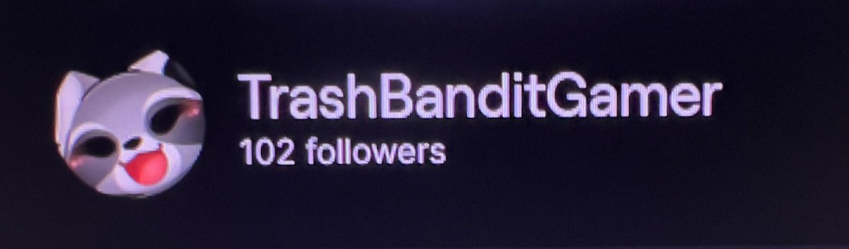 TrashBanditGamer tweet media