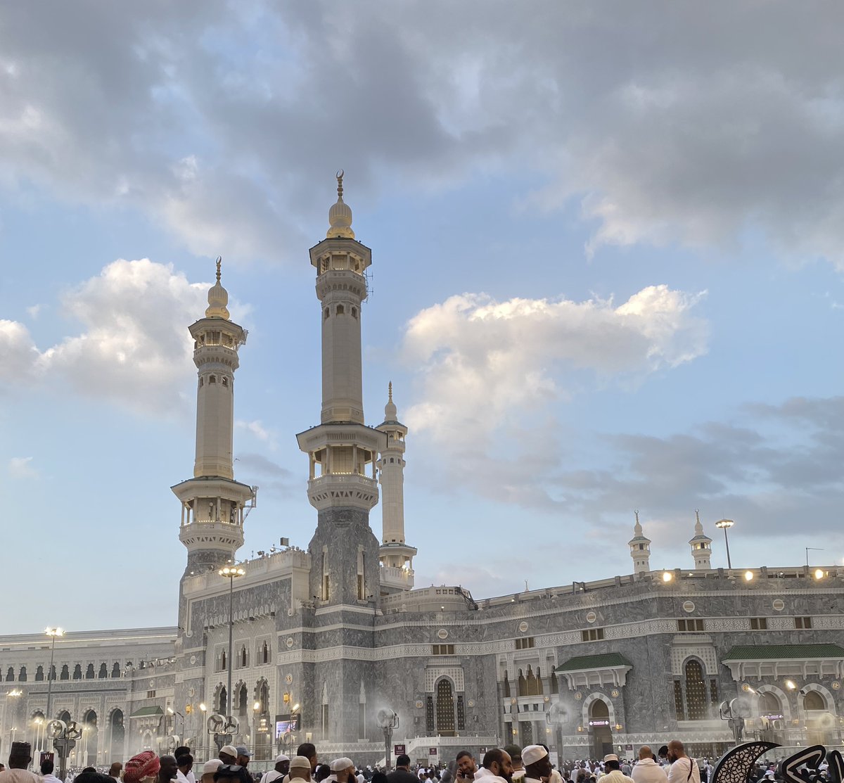 داليا tweet media