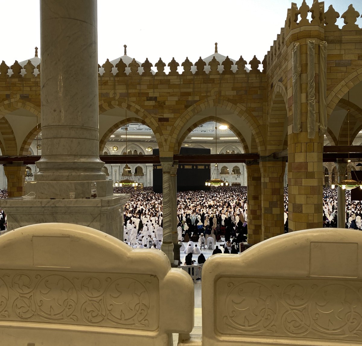 داليا tweet media