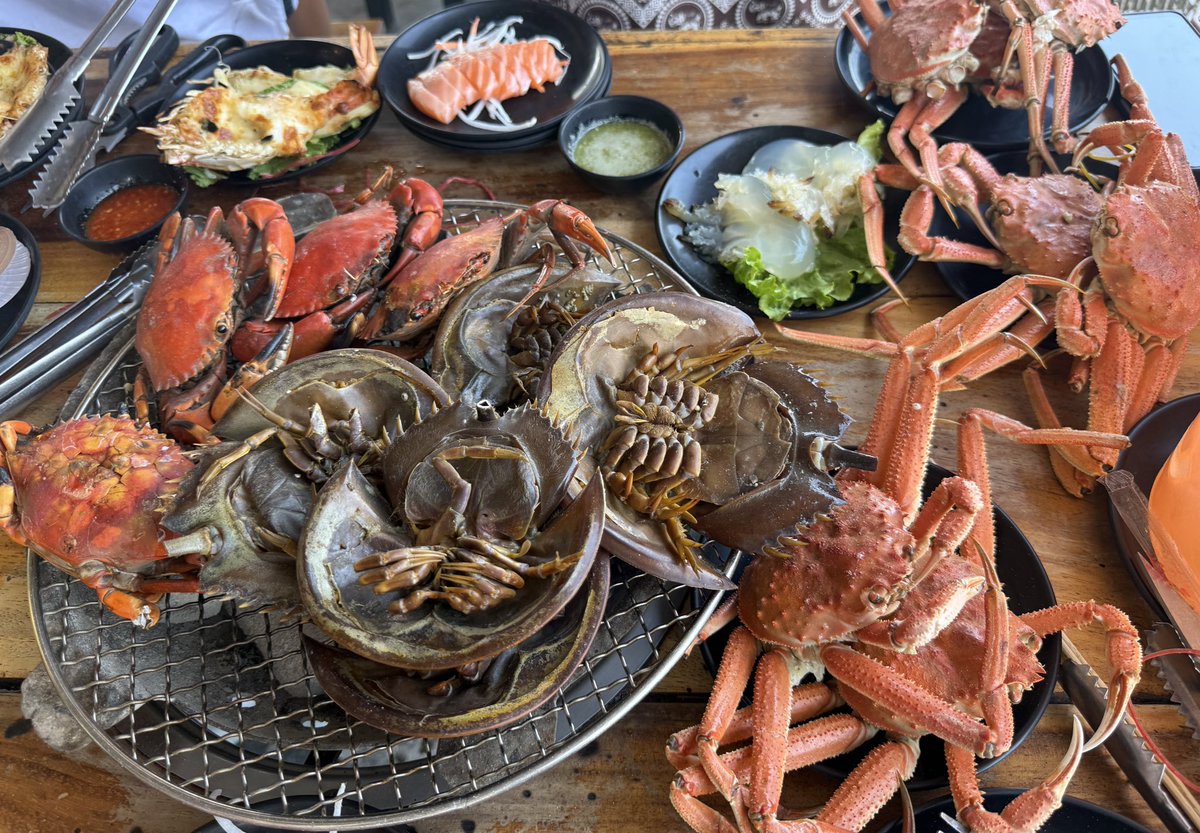 Ali 🍀🦋 tweet media