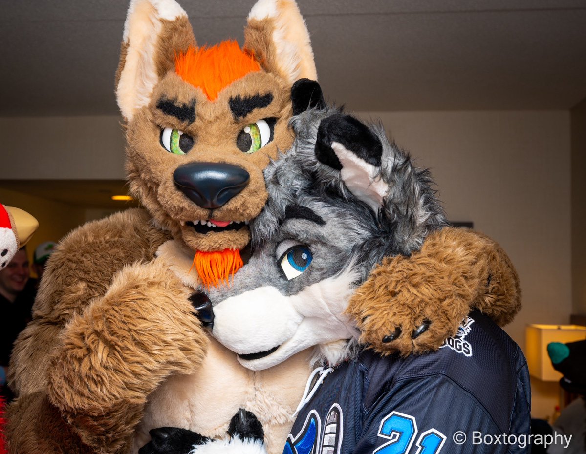 Kyash! 🐺 💫 tweet media