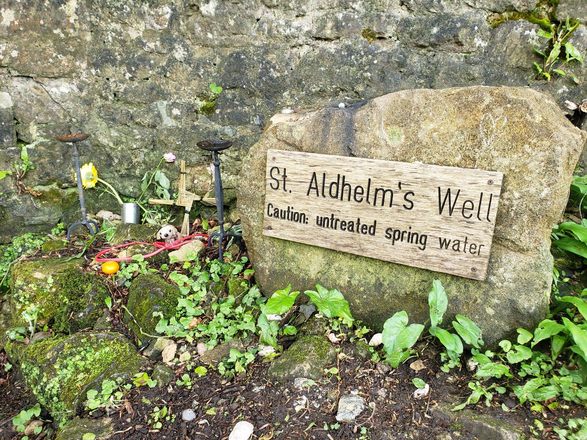 Dr Anne E Bailey tweet media