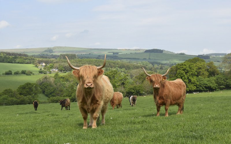 Sama Hoole tweet media