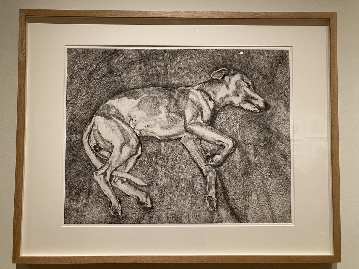 Prof Sara Lodge tweet media