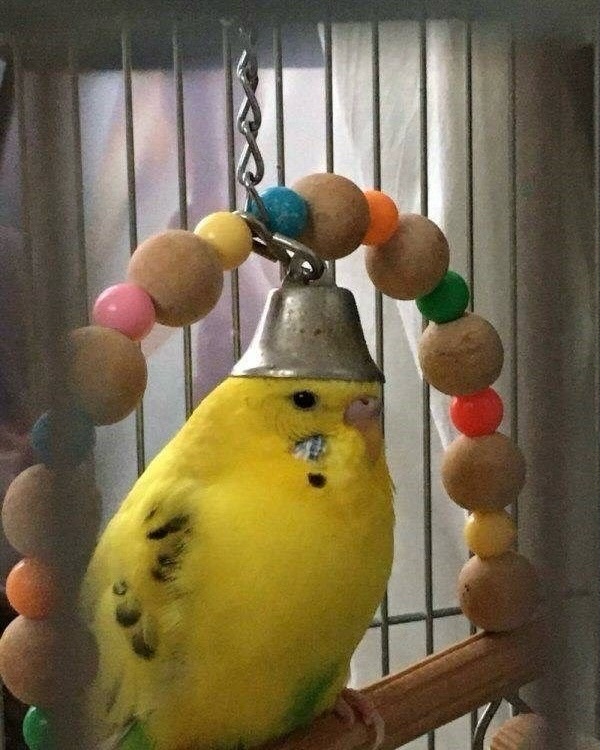 Ink Blot tweet media