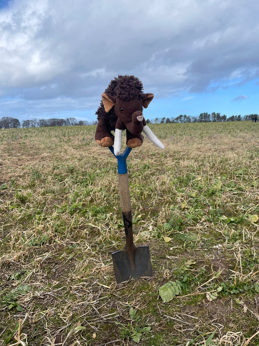 PALaEoScot - Prehistory on the Edge tweet media