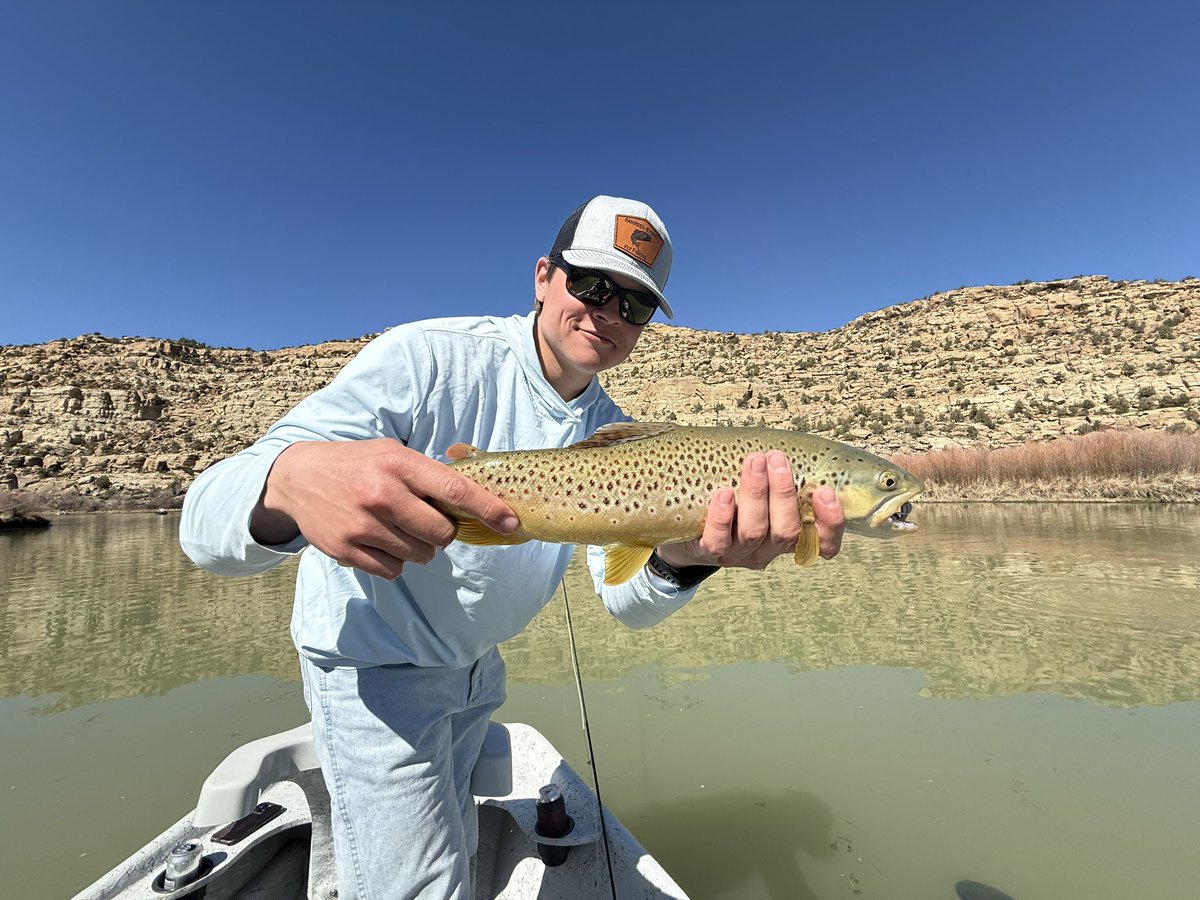 Hampden-Sydney College tweet media