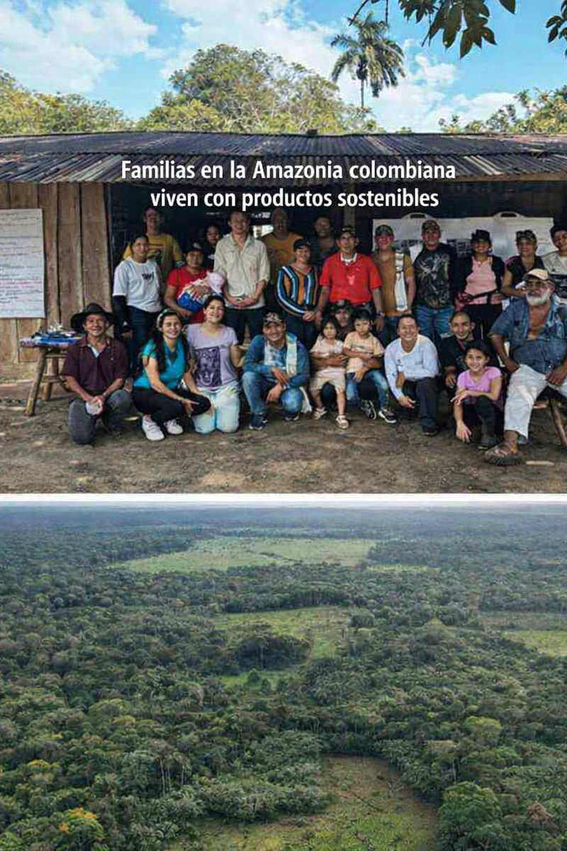 Colombia Belleza Pura tweet media